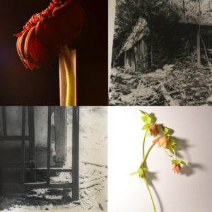 Transient Exhibit @ the Courtroom Gallery | Waxahachie | Texas | United States