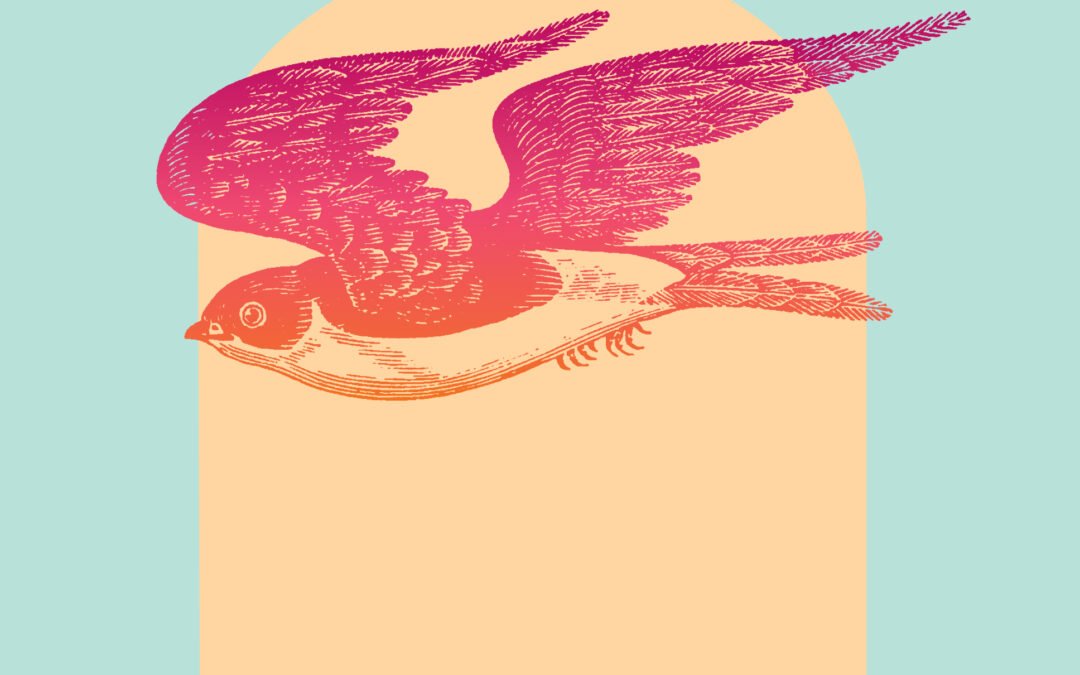 Birdsong Like a Canopy